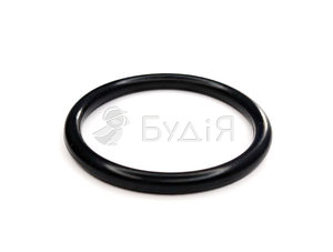 Ущільнююче кільце  гума 1.2